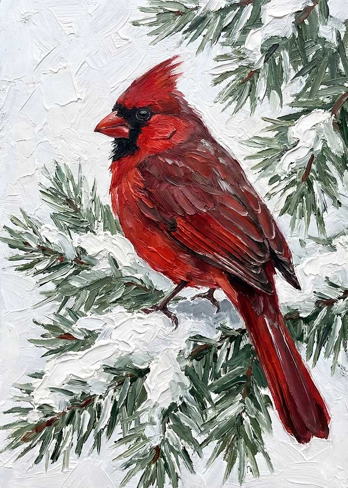 Cardinal on Snowy Pine Branch