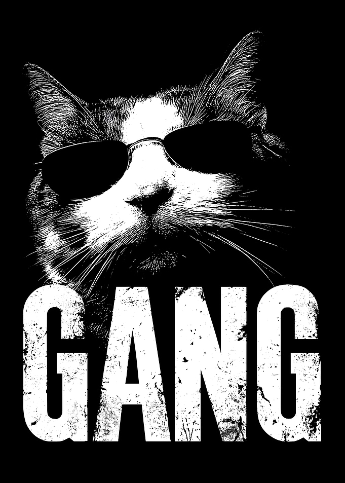 Cool Cat Wearing Sunglasses