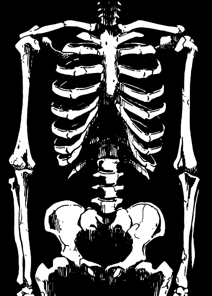 Black and White Skeleton Illustration