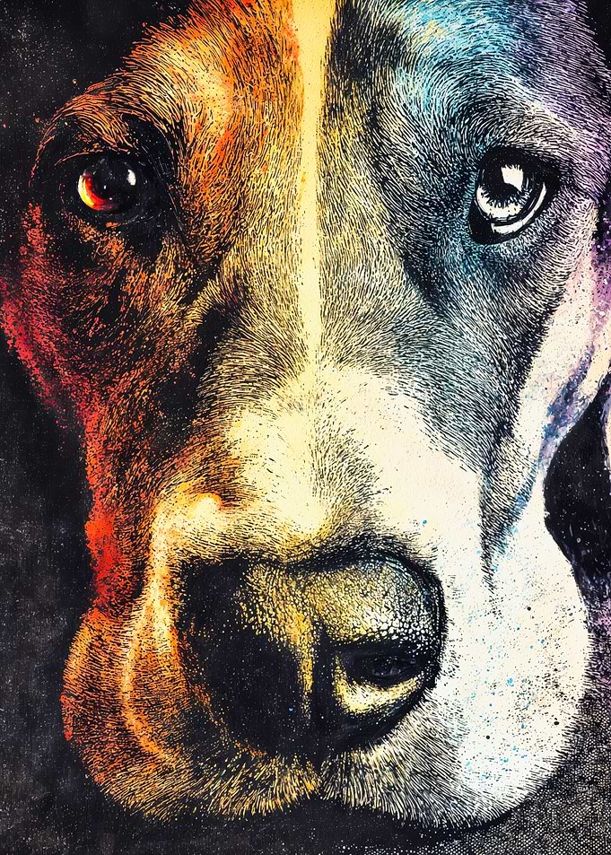 Colorful Close Up Dog Portrait