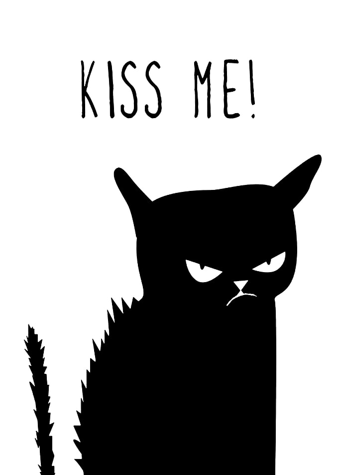 Grumpy Cat Kiss Me Text Art