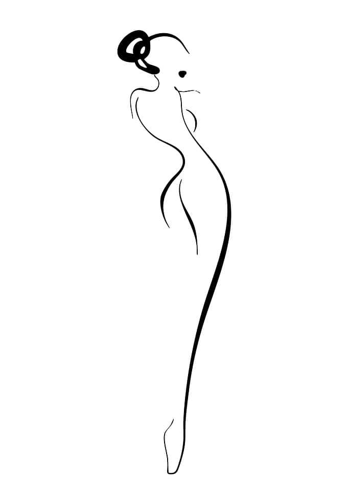 Elegant Fashion Silhouette