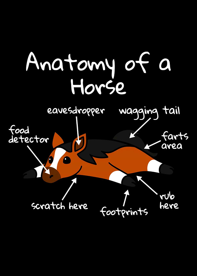 Funny Horse Anatomy Illustration