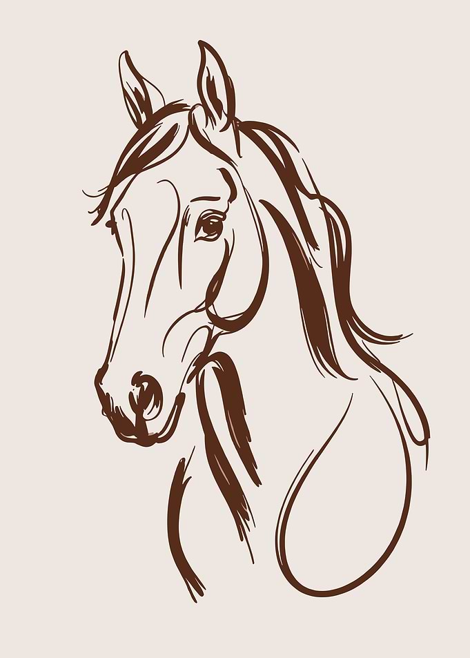 Sketch of a Horse Head