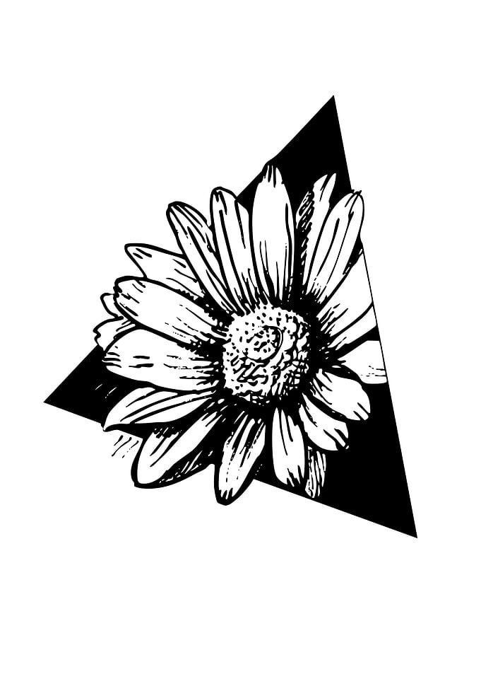 Black and White Daisy in Triangle