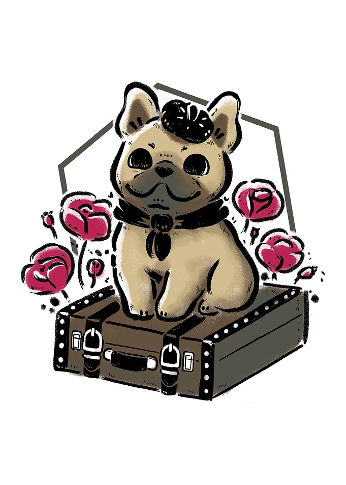 French Bulldog on Vintage Travel Suitcase