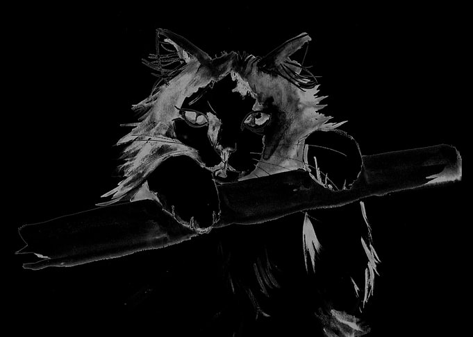Black Cat Holding a Scroll