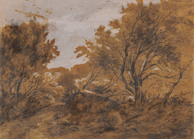 Sketch of a Woodland Path