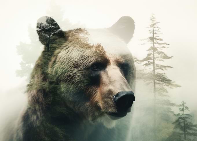 Double Exposure Bear and Forest