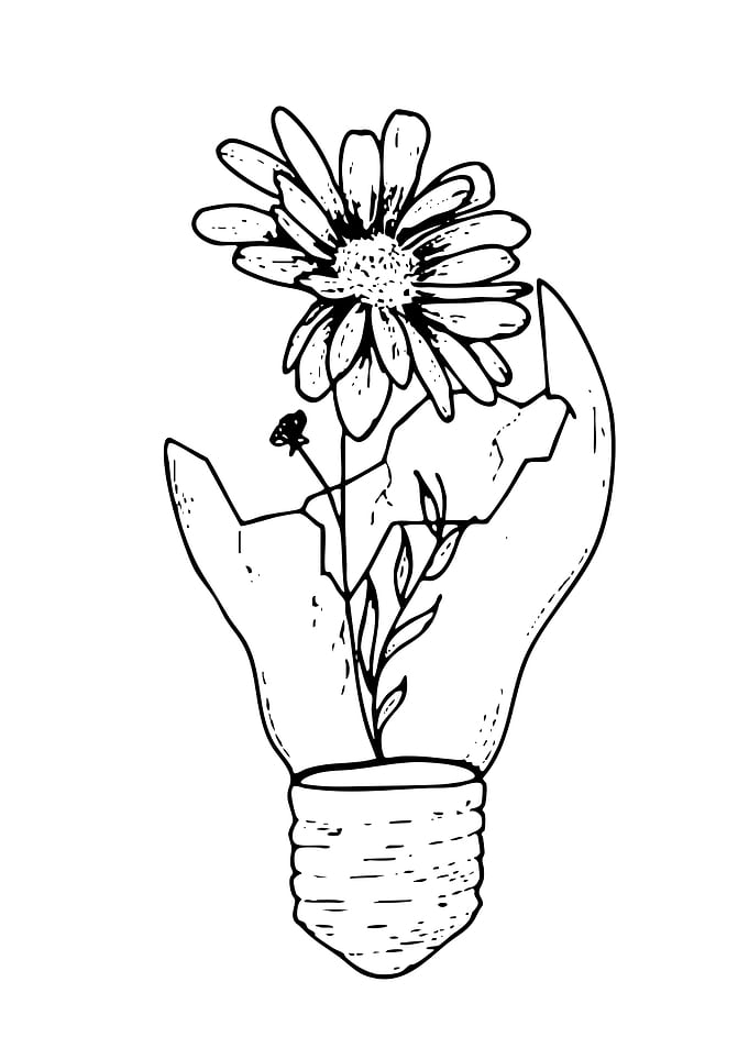 Flower Growing from Broken Lightbulb