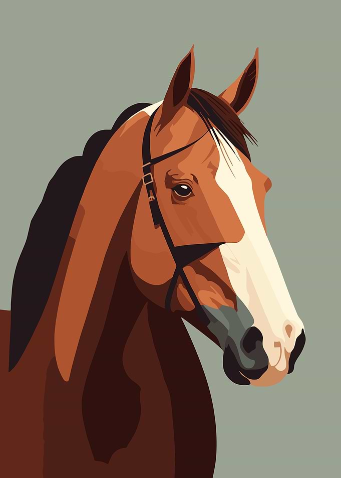 Brown Horse Portrait with Bridle
