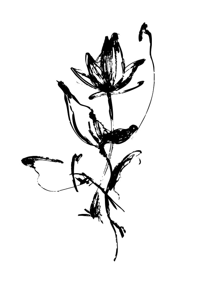 Ink Brush Flower Illustration