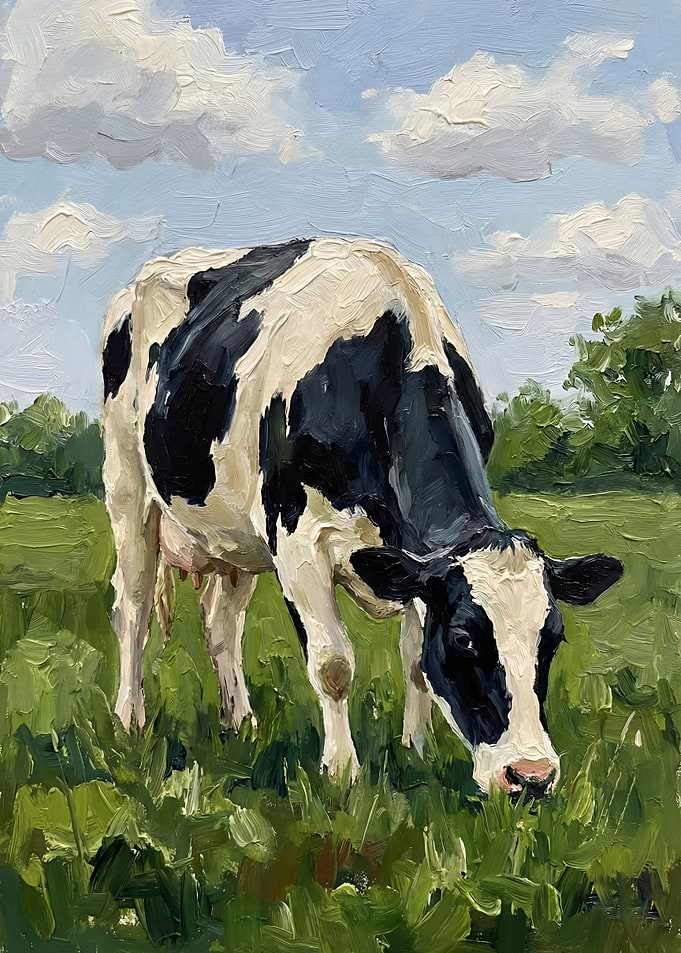 Cow grazing in a field
