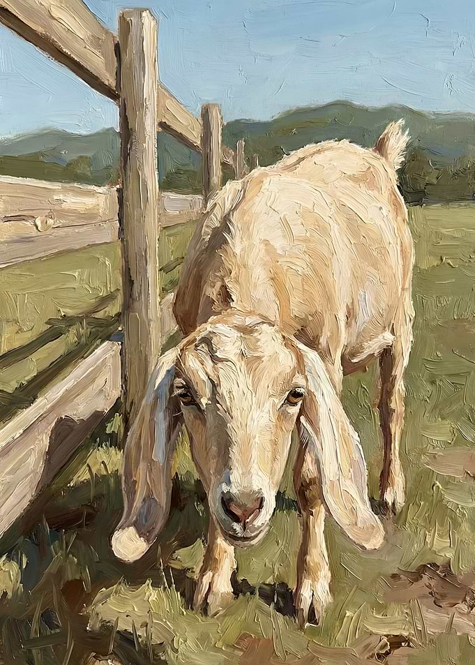 Goat by a Wooden Fence