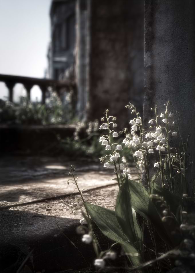 Lily of the Valley Flowers in Ruins