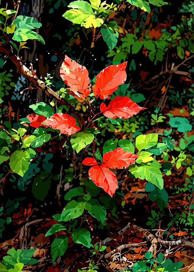 Vibrant Red and Green Leaves in Forest