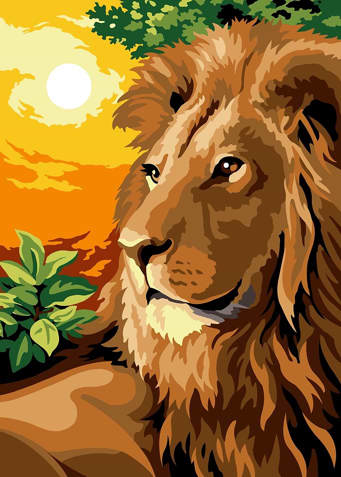 Majestic Lion in Sunset