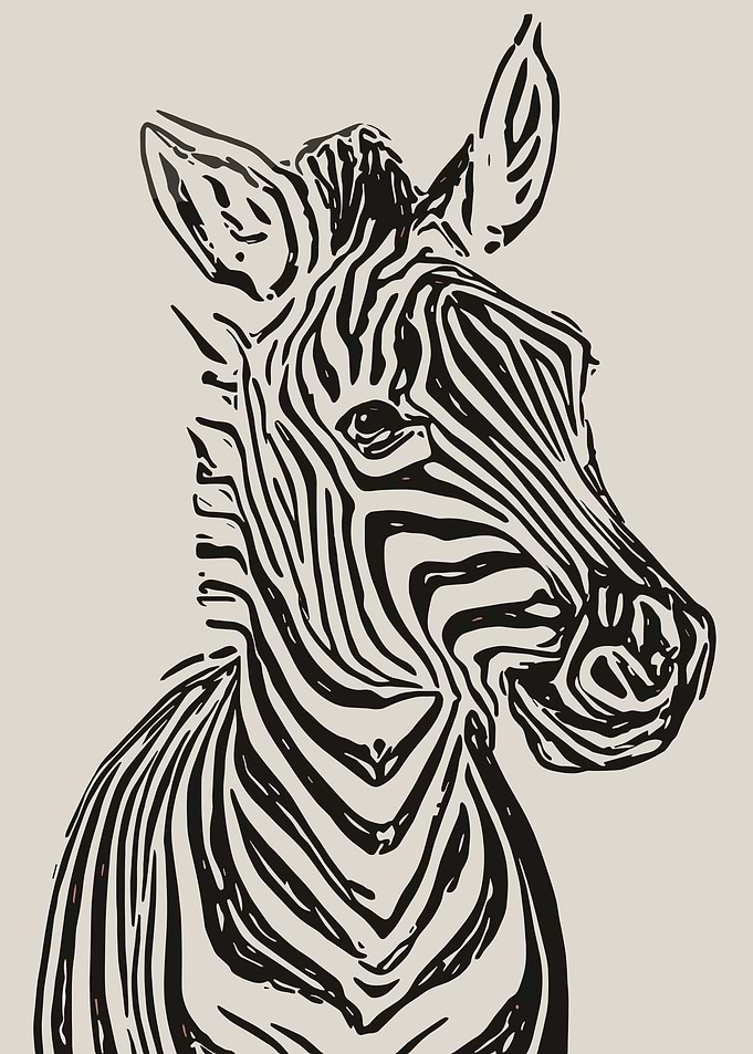 Zebra Head Illustration