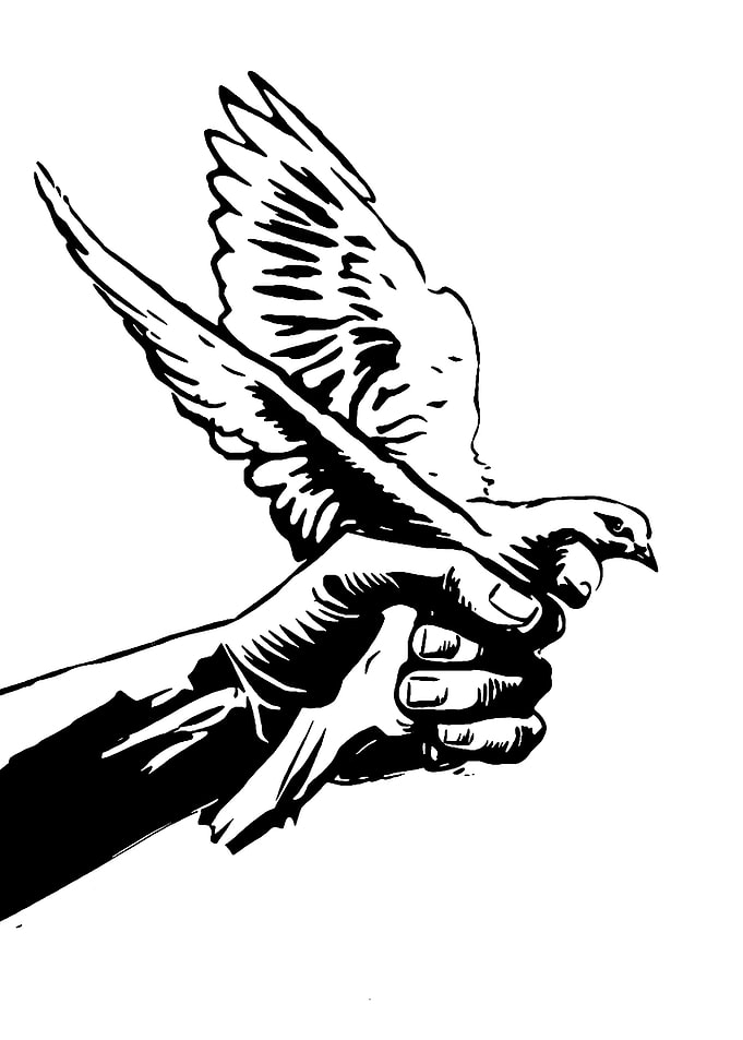 Hand Releasing a Dove