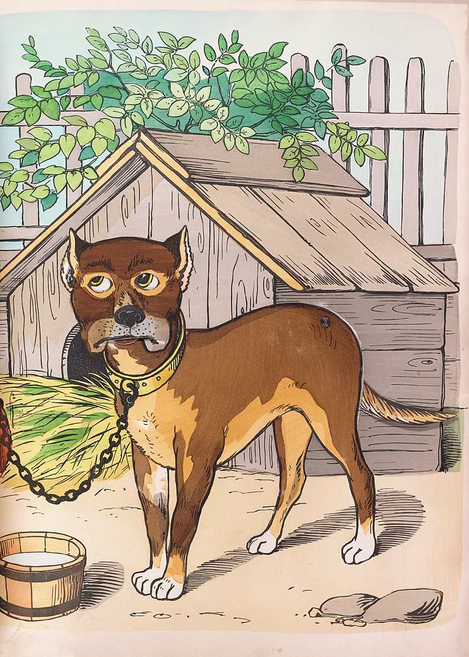 Dog in a yard with a doghouse