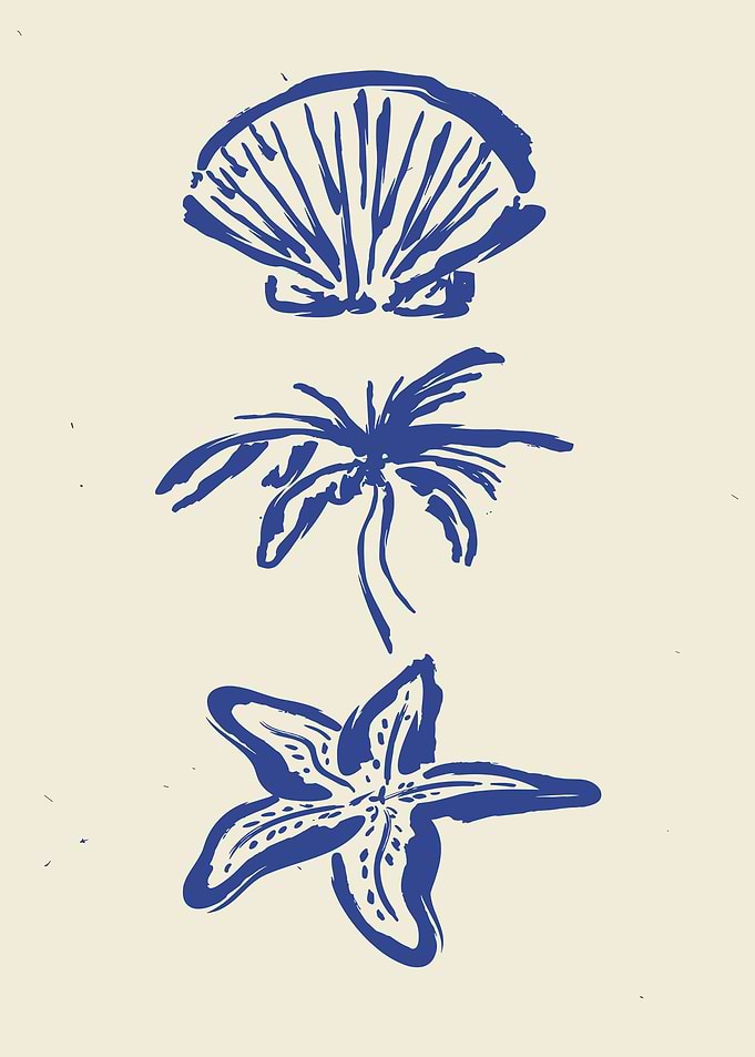 Blue Seashell, Palm Leaf, and Starfish Illustration