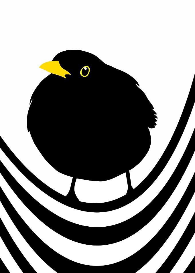 Black Bird on Striped Perch