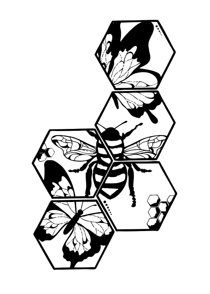 Hexagonal Bee and Butterfly Art