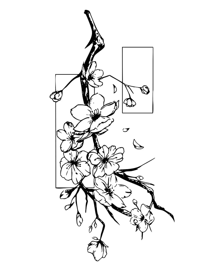 Cherry Blossoms with Geometric Frames