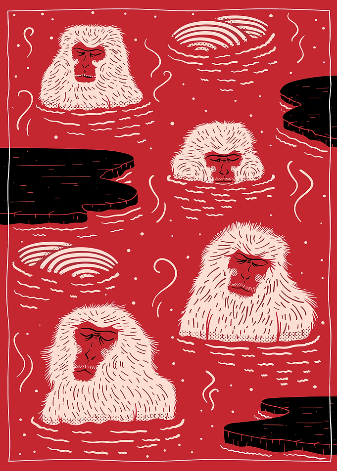 Monkeys relaxing in hot springs