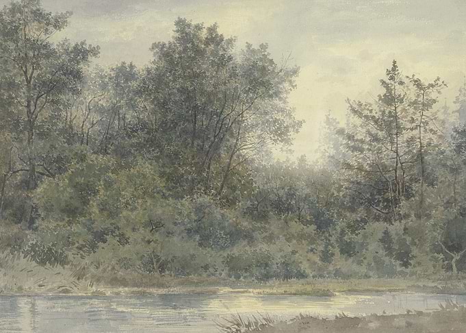Misty Forest by the Water