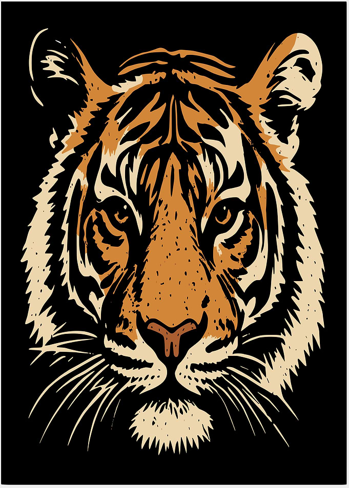 Tiger Face Illustration