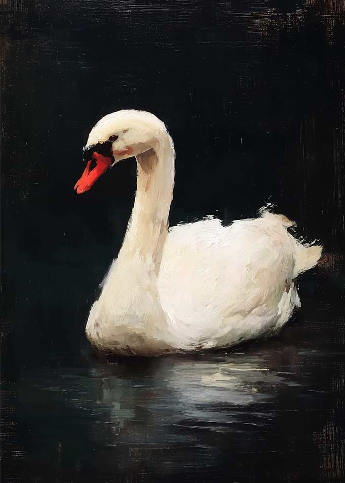 Elegant Swan on Dark Water