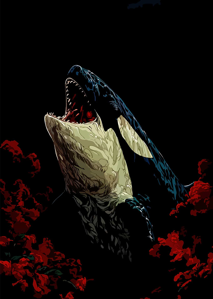 Orca Attacking Prey Amidst Roses