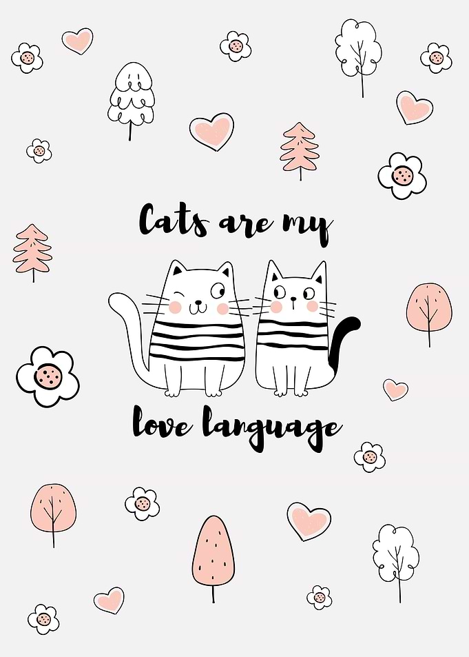 Cats are my love language