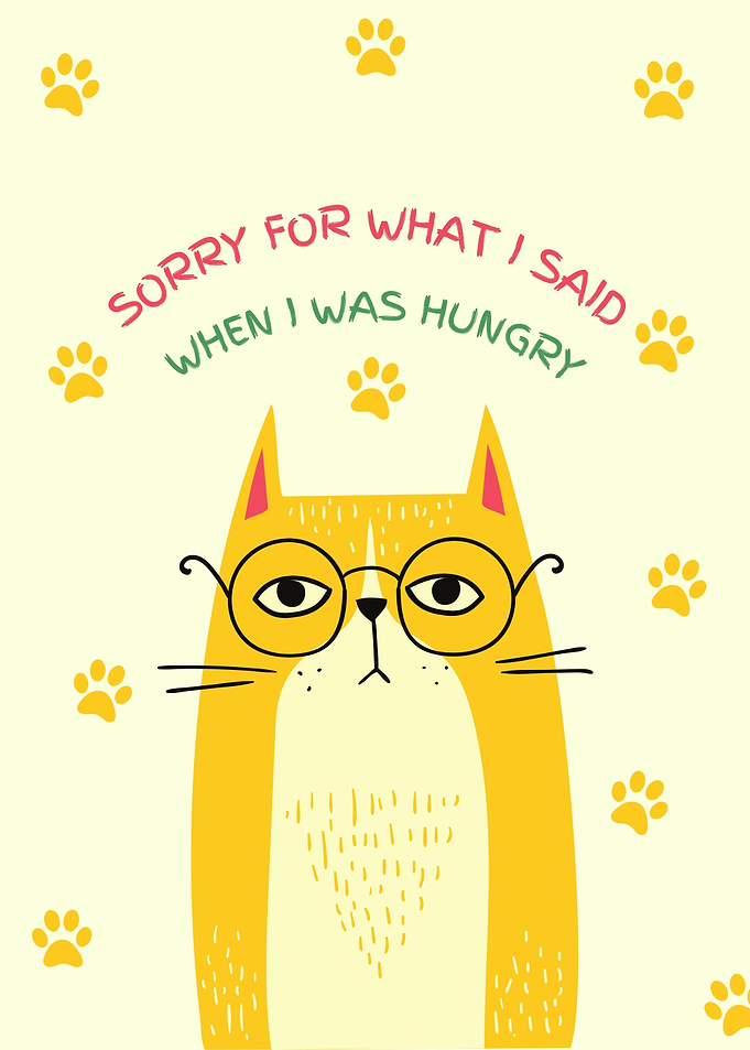 Funny Cat Apology Poster