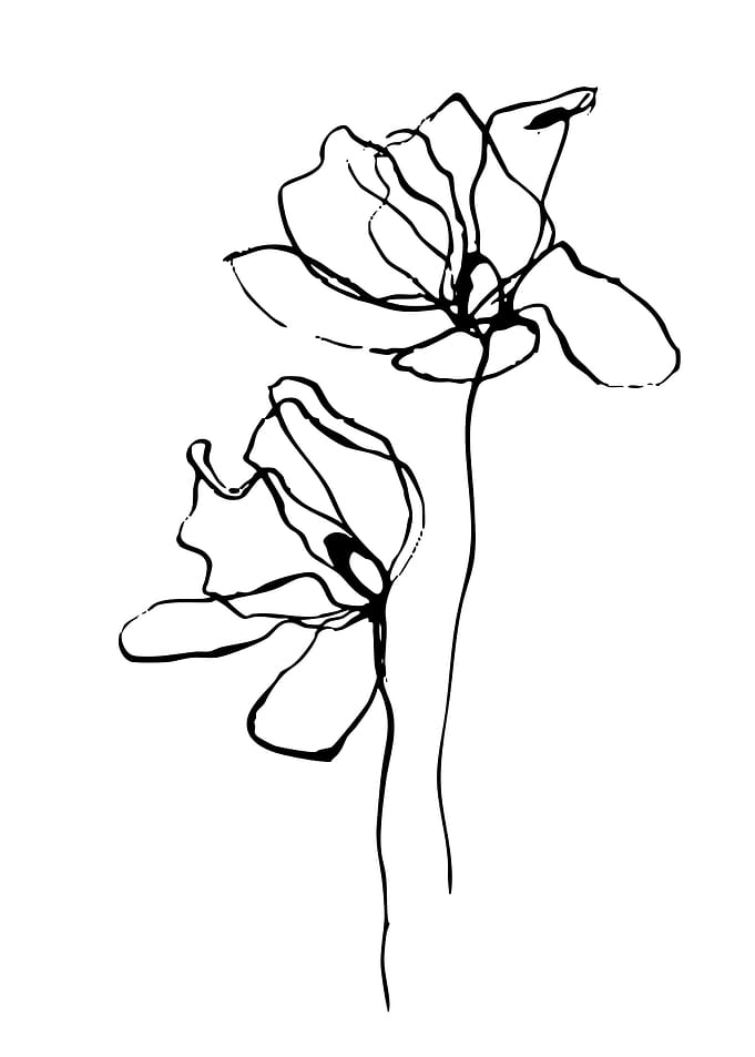 Minimalist Floral Line Art