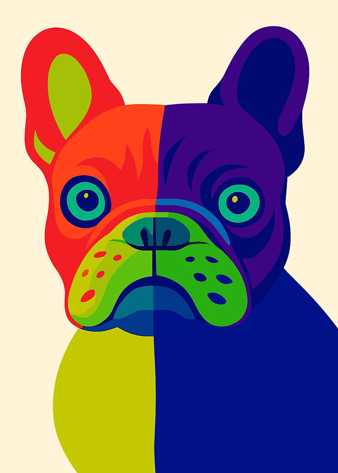Colorful French Bulldog Portrait