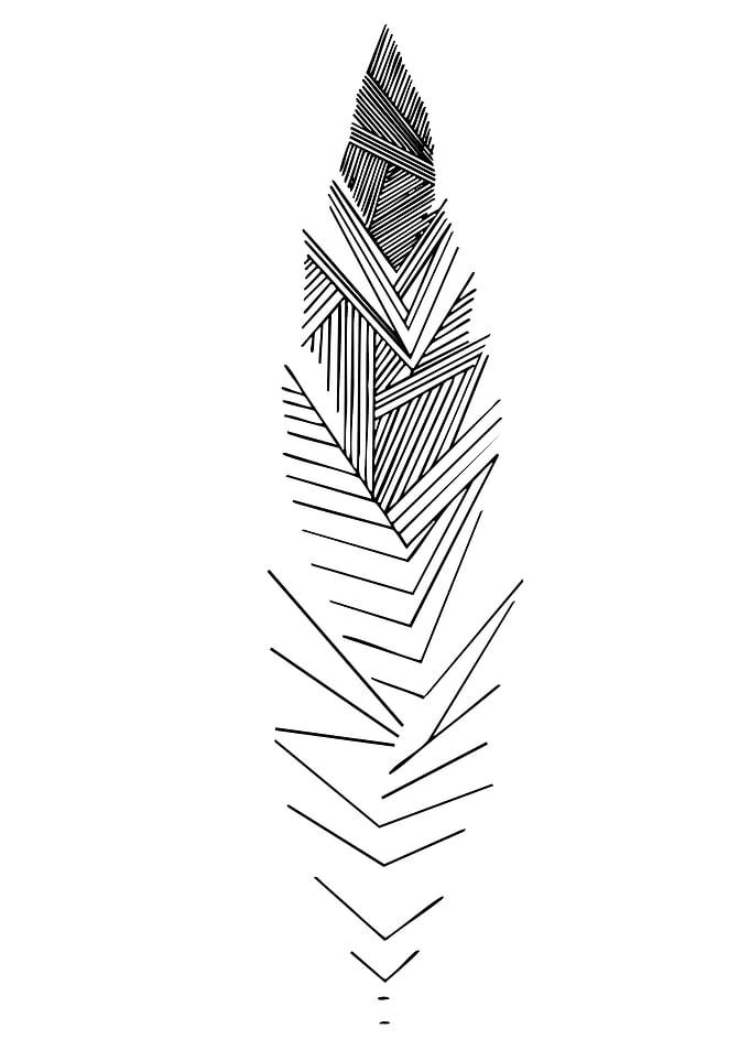 Abstract Feather Illustration