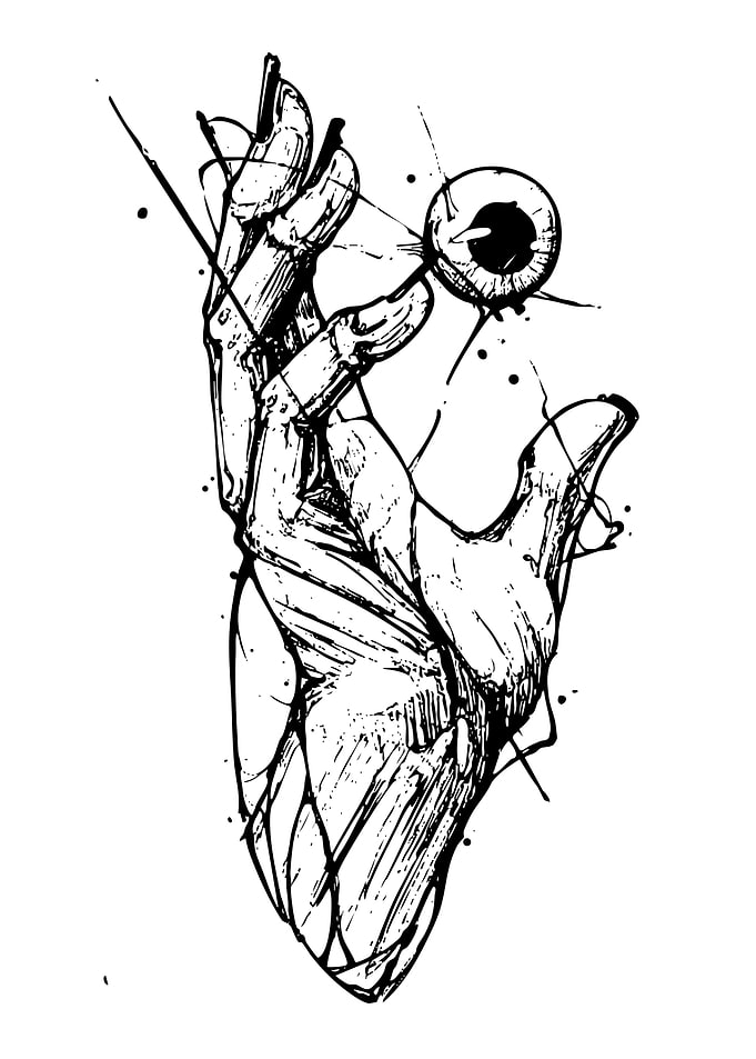 Hand Holding an Eyeball