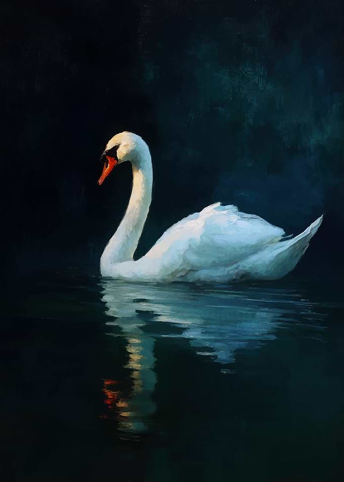Elegant Swan on Dark Water