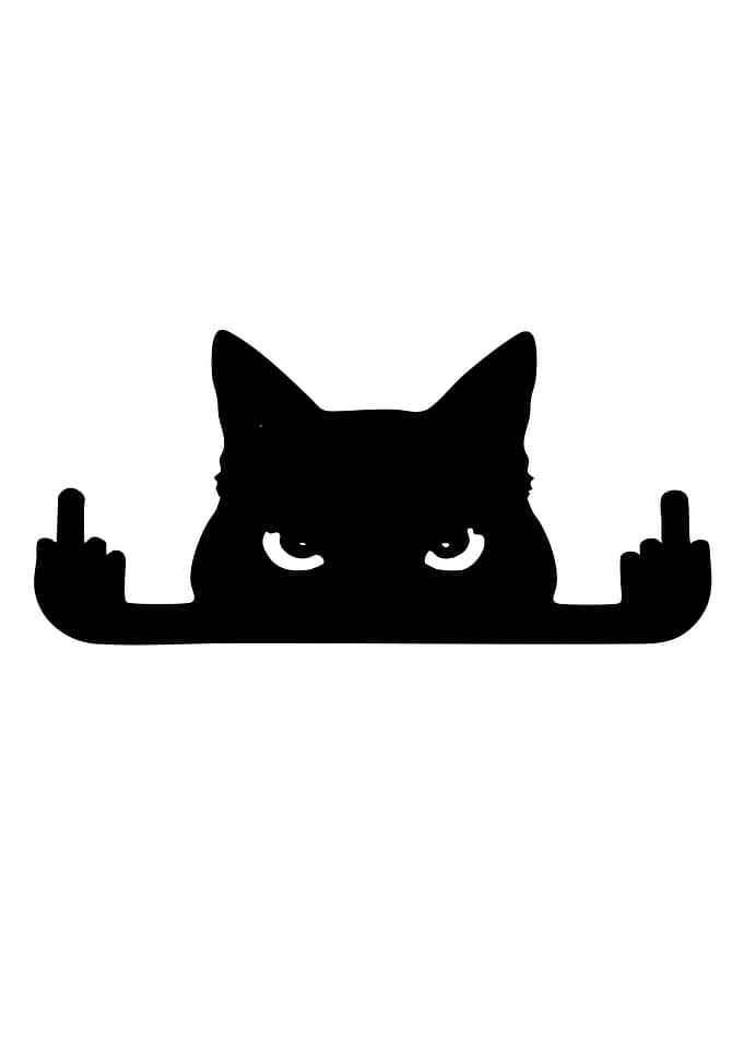 Black Cat Giving Middle Finger