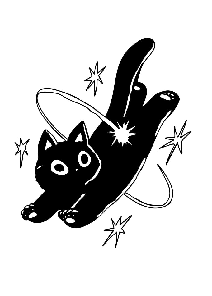 Black Cat with Stars and Orbit