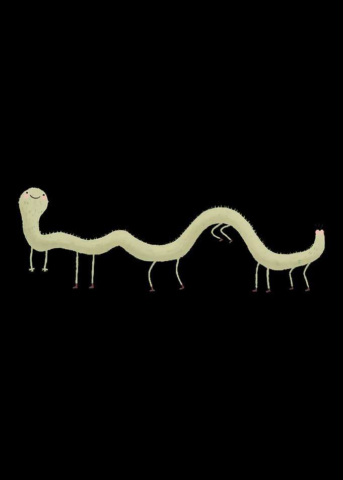 Long, fuzzy, multi-legged creature