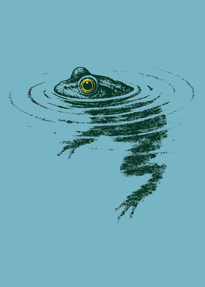 Frog in Water Poster, Serene Nature Wall Art, Minimalist Pond Ripples Print