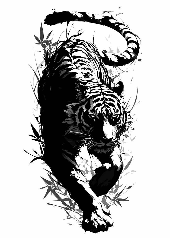 Black and White Tiger in Bamboo