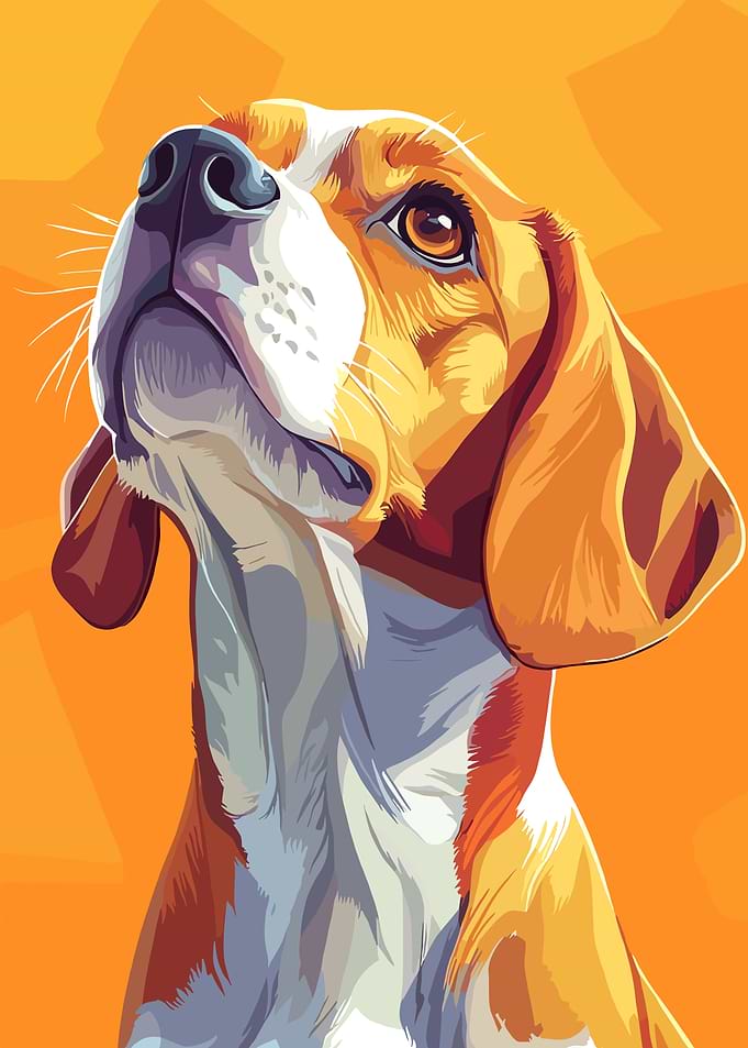 Beagle Dog Looking Up