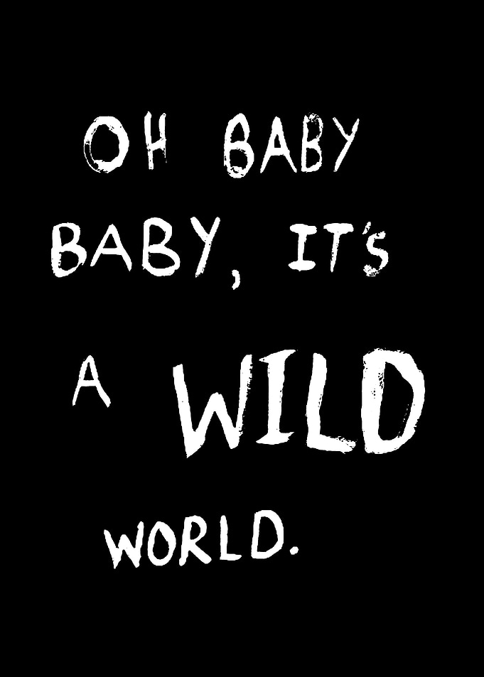 Oh Baby, It's A Wild World Text Art