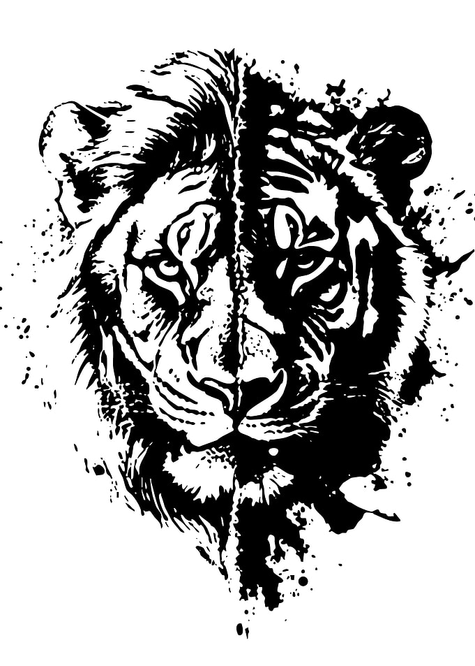 Lion and Tiger Split Face
