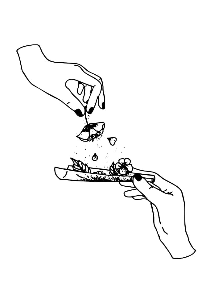 Hands Rolling Joint with Flowers