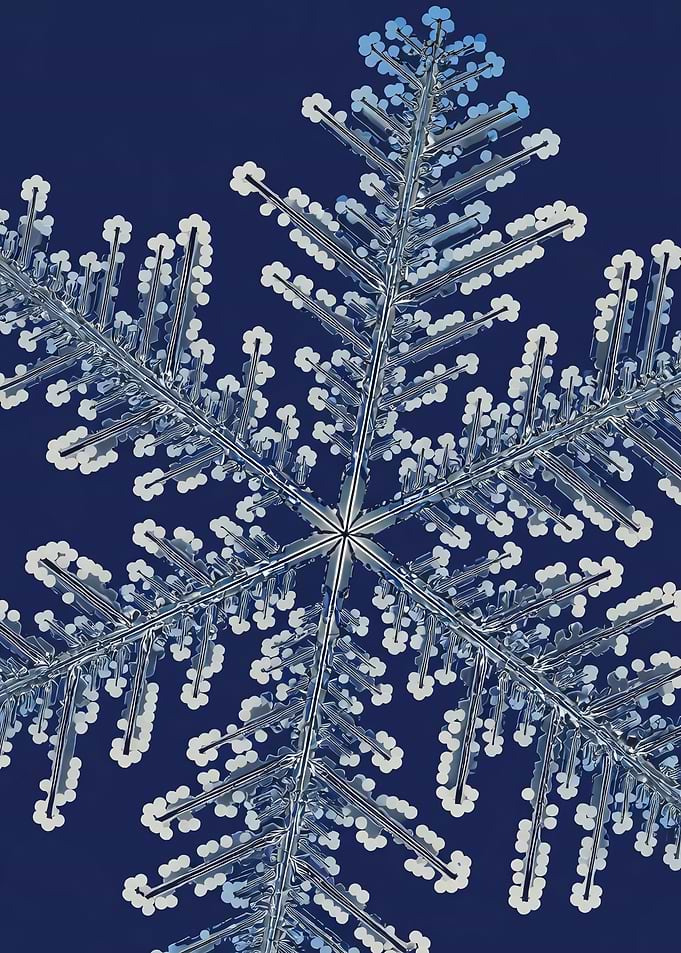 Snowflake Zoom